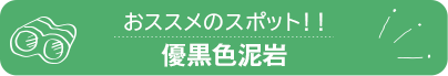 優黒色泥岩