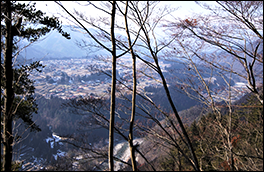 本郷河岸段丘の風景